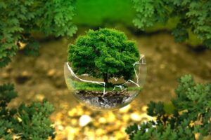 environmental protection g5d649c5fd 640